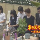キッズウォー子役死亡
