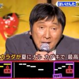 ほいけんた年収